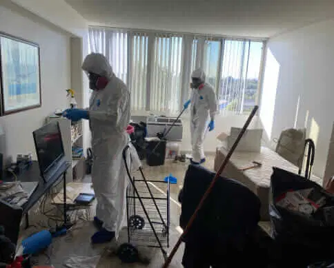  hoarding cleanup professionals